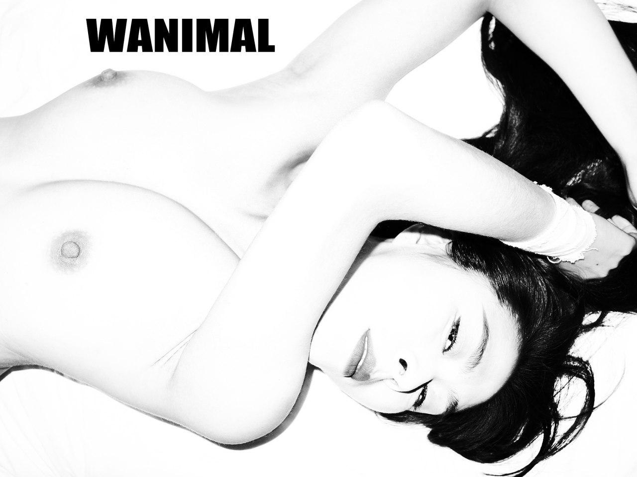 王 动 wanimal