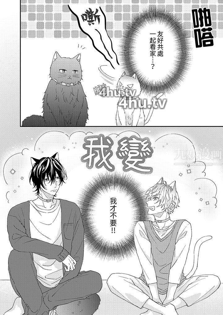 《哈鲁和路伊的二喵世界lovelife!》 >第1话